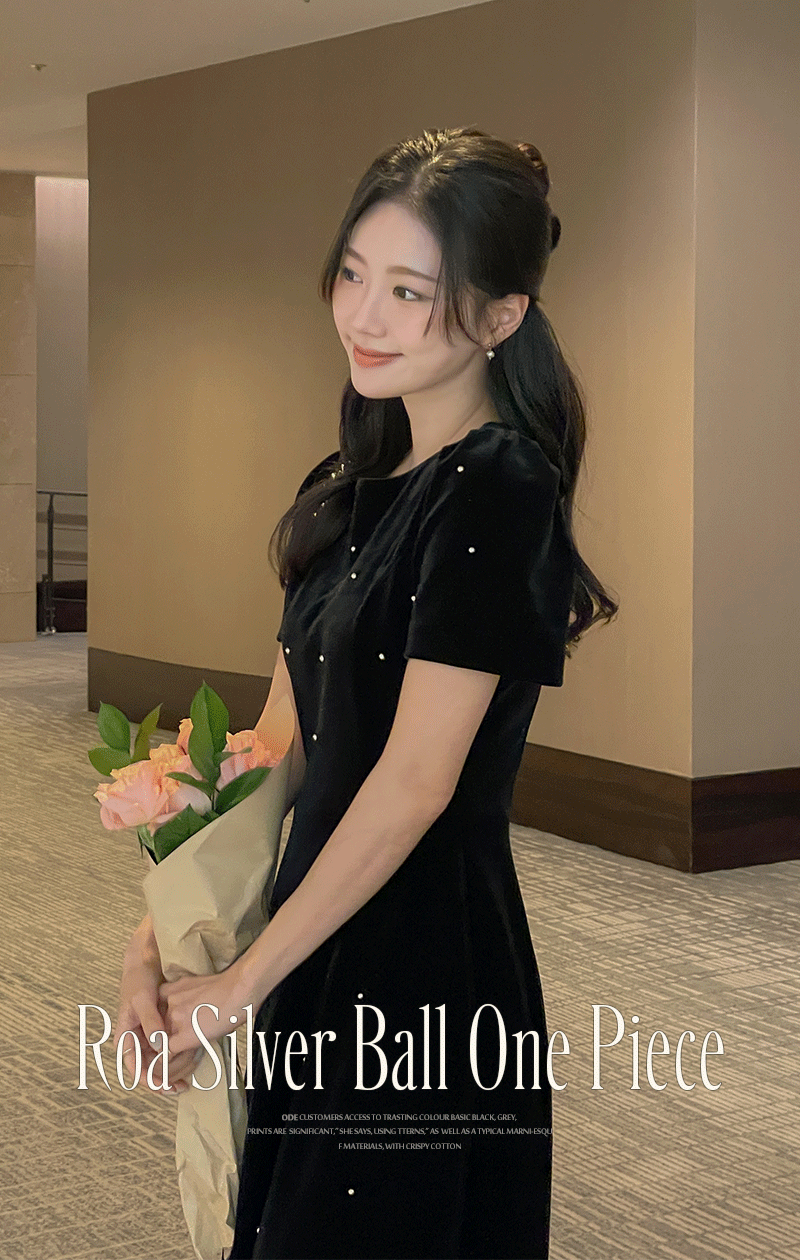  로아 실버볼 벨벳 A라인 원피스(2TYPE)
